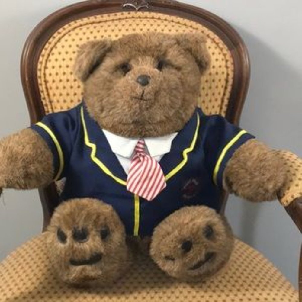 VTG 📌Gund 1983 Paws Prep Academy Bear Dennis Kyte Stuffed Animal